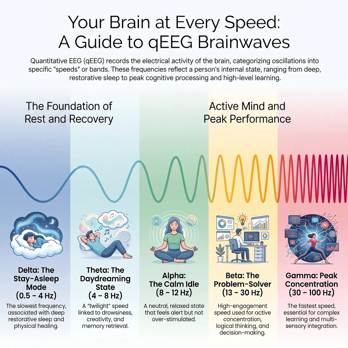 Infographic of the five qEEG brainwave bands: delta, theta, alpha, beta, and gamma