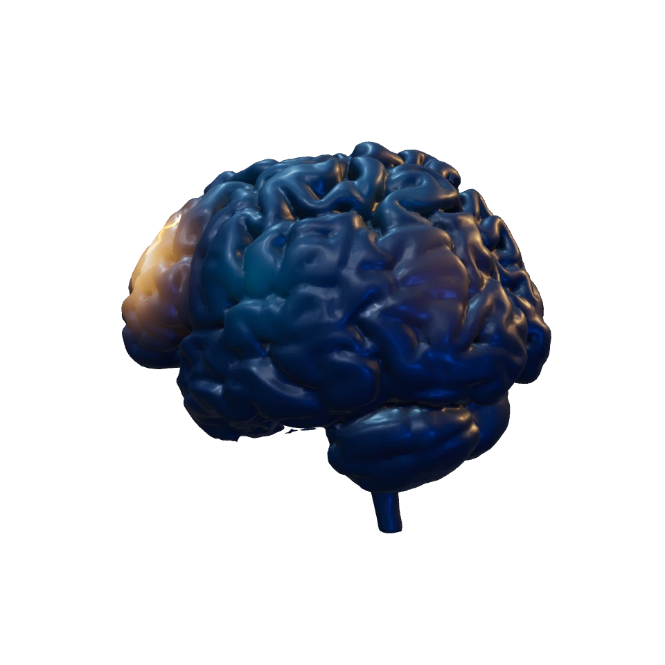 Blue brain with glowing regions and branching pulses, a slowed illustration of neural communication